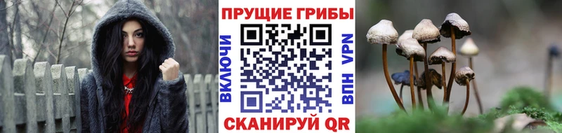 где купить наркотик  Бугульма  Галлюциногенные грибы мухоморы 