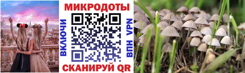 Псилоцибиновые грибы GOLDEN TEACHER Бугульма